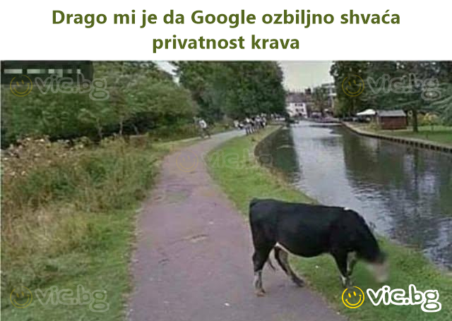 Drago mi je da Google ozbiljno shvaća privatnost krava