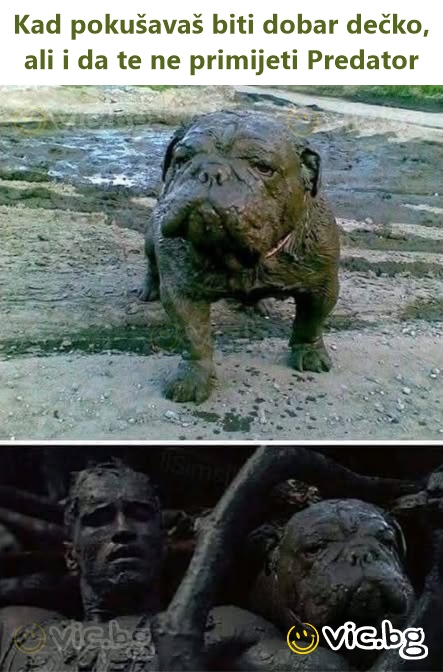 Kad pokušavaš biti dobar dečko, ali i da te ne primijeti Predator