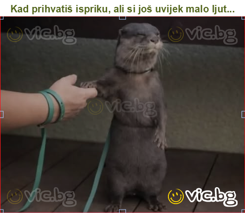 Kad prihvatiš ispriku, ali si još uvijek malo ljut...