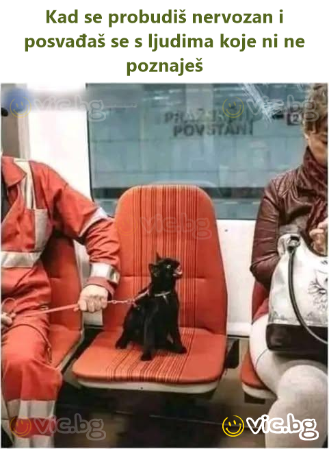 Kad se probudiš nervozan i posvađaš se s ljudima koje ni ne poznaješ