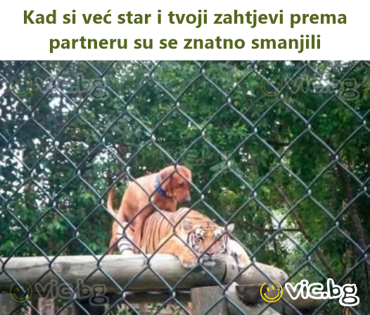 Kad si već star i tvoji zahtjevi prema partneru su se znatno smanjili