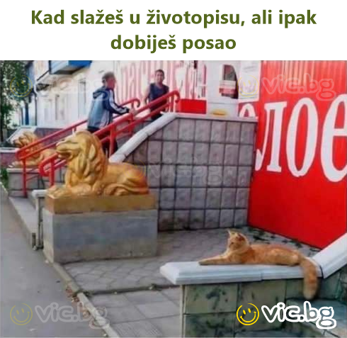Kad slažeš u životopisu, ali ipak dobiješ posao