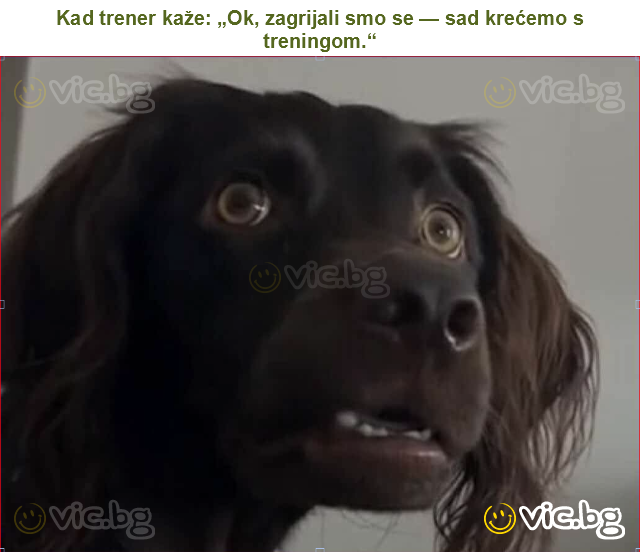 Kad trener kaže: „Ok, zagrijali smo se — sad krećemo s treningom.“
