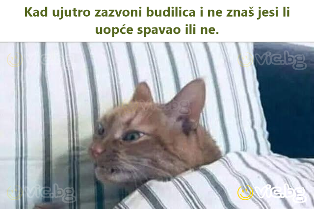 Kad ujutro zazvoni budilica i ne znaš jesi li uopće spavao ili ne.