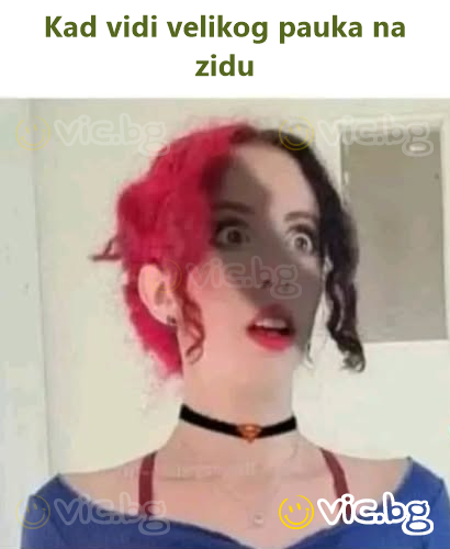 Kad vidi velikog pauka na zidu