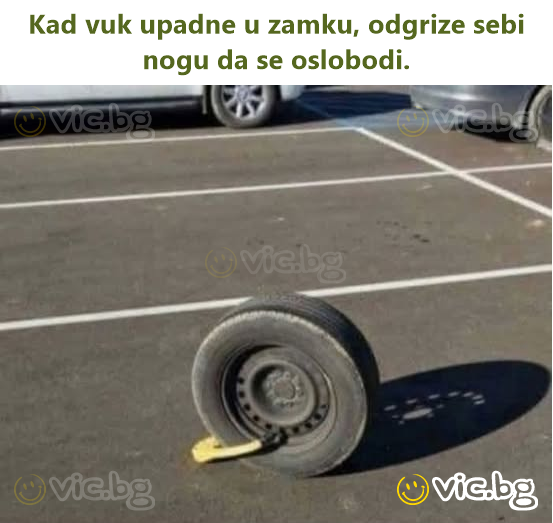 Kad vuk upadne u zamku, odgrize sebi nogu da se oslobodi.