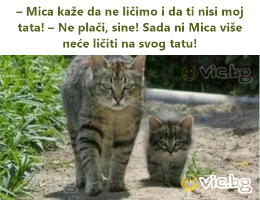 – Mica kaže da ne ličimo i da ti nisi moj tata! – Ne plači, sine! Sada ni Mica više neće ličiti na svog tatu!