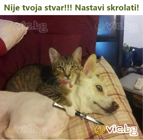 Nije tvoja stvar!!! Nastavi skrolati!