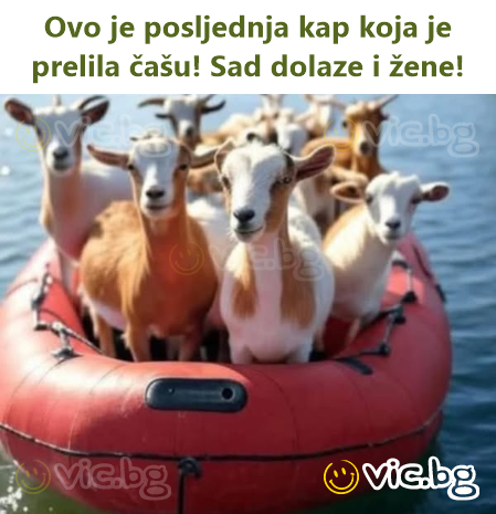 Ovo je posljednja kap koja je prelila čašu! Sad dolaze i žene!