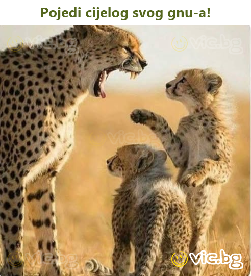 Pojedi cijelog svog gnu-a!