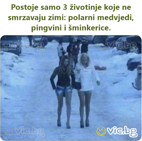 Postoje samo 3 životinje koje ne smrzavaju zimi: polarni medvjedi, pingvini i šminkerice.