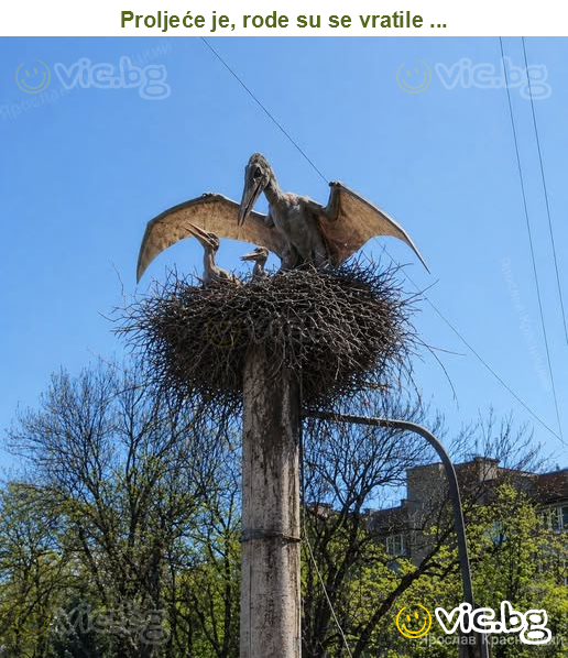 Proljeće je, rode su se vratile ...