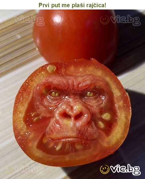 Prvi put me plaši rajčica!