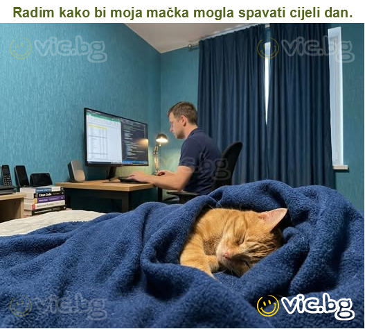 Radim kako bi moja mačka mogla spavati cijeli dan.