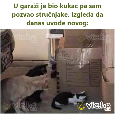 U garaži je bio kukac pa sam pozvao stručnjake. Izgleda da danas uvode novog: