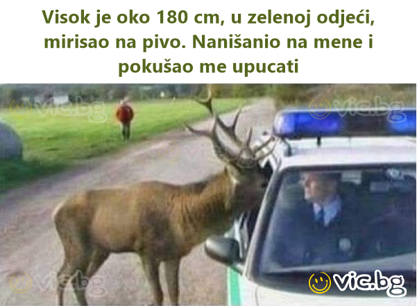 Visok je oko 180 cm, u zelenoj odjeći, mirisao na pivo. Nanišanio na mene i pokušao me upucati
