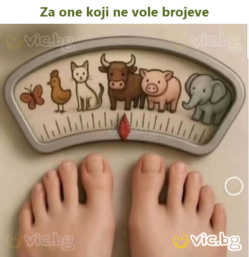 Za one koji ne vole brojeve