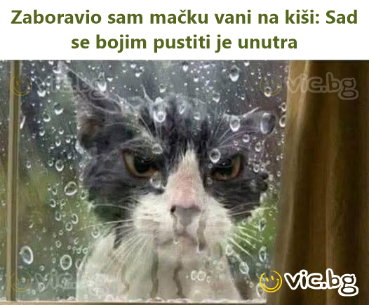 Zaboravio sam mačku vani na kiši: Sad se bojim pustiti je unutra