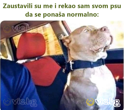 Zaustavili su me i rekao sam svom psu da se ponaša normalno:
