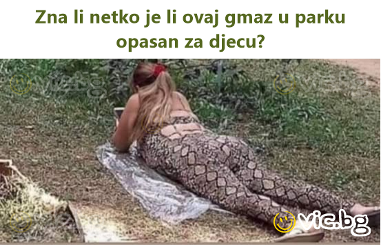 Zna li netko je li ovaj gmaz u parku opasan za djecu?