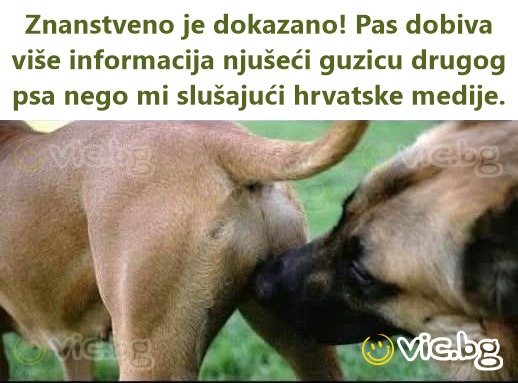 Znanstveno je dokazano! Pas dobiva više informacija njušeći guzicu drugog psa nego mi slušajući hrvatske medije.