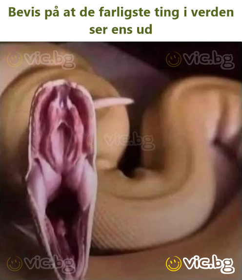 Bevis på at de farligste ting i verden ser ens ud