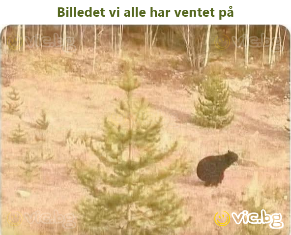 Billedet vi alle har ventet på