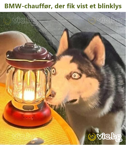 BMW-chauffør, der fik vist et blinklys