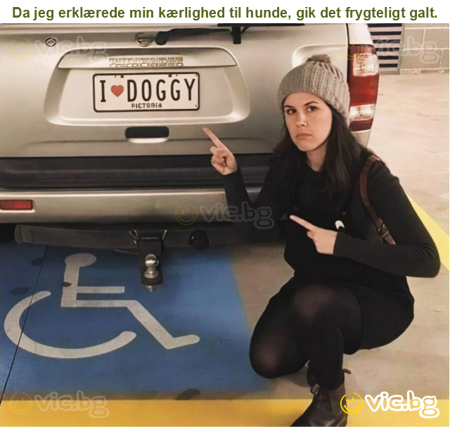 Da jeg erklærede min kærlighed til hunde, gik det frygteligt galt.