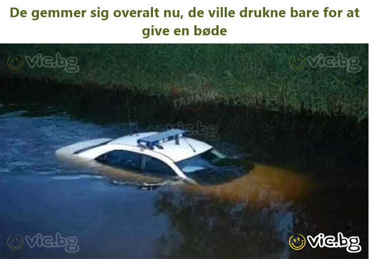 De gemmer sig overalt nu, de ville drukne bare for at give en bøde