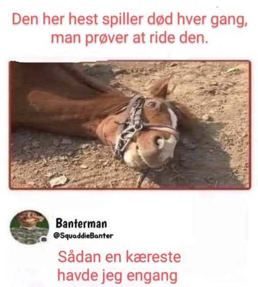 Den her hest spiller død hver gang, man prøver at ride den. Sådan en kæreste havde jeg engang