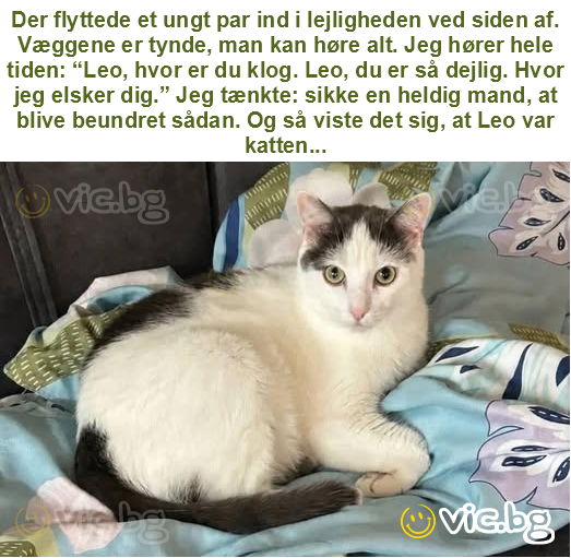 Der flyttede et ungt par ind i lejligheden ved siden af. Væggene er tynde, man kan høre alt. Jeg hører hele tiden: “Leo, hvor er du klog. Leo, du er så dejlig. Hvor jeg elsker dig.” Jeg tænkte: sikke...