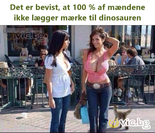 Det er bevist, at 100 % af mændene ikke lægger mærke til dinosauren