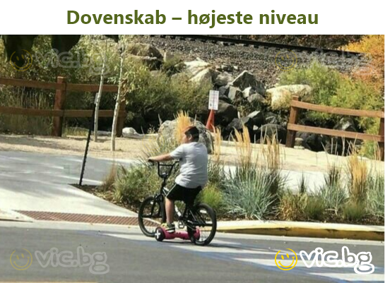 Dovenskab – højeste niveau