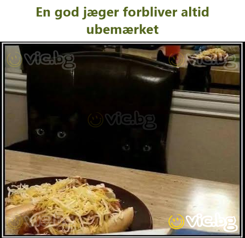 En god jæger forbliver altid ubemærket