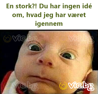 En stork?! Du har ingen idé om, hvad jeg har været igennem