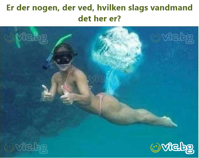 Er der nogen, der ved, hvilken slags vandmand det her er?