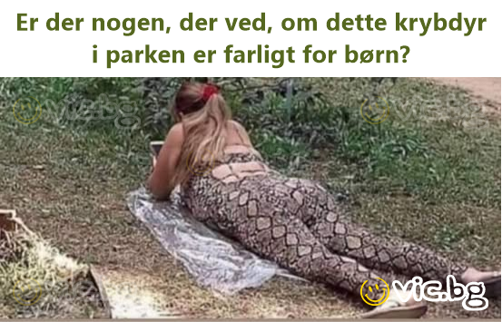 Er der nogen, der ved, om dette krybdyr i parken er farligt for børn?