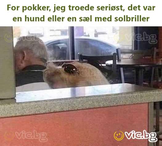 For pokker, jeg troede seriøst, det var en hund eller en sæl med solbriller
