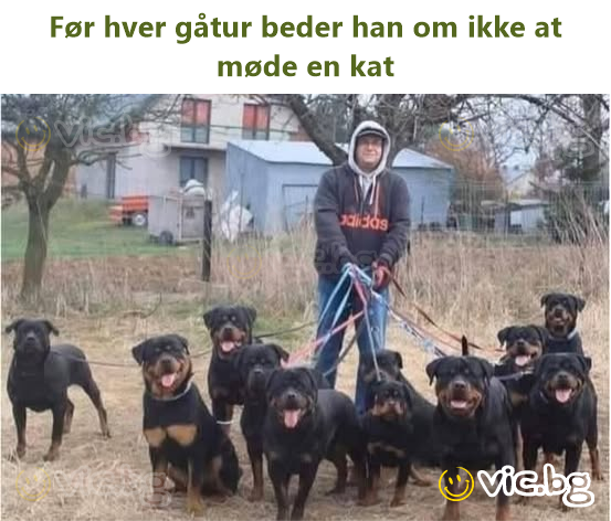 Før hver gåtur beder han om ikke at møde en kat