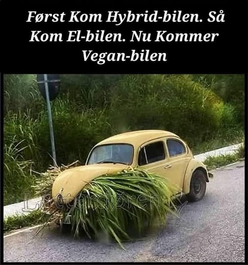 Først Kom Hybrid-bilen. Så Kom El-bilen. Nu Kommer Vegan-bilen