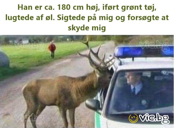 Han er ca. 180 cm høj, iført grønt tøj, lugtede af øl. Sigtede på mig og forsøgte at skyde mig