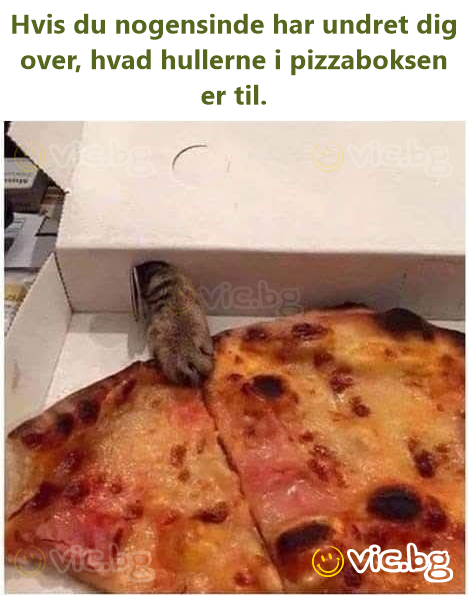 Hvis du nogensinde har undret dig over, hvad hullerne i pizzaboksen er til.