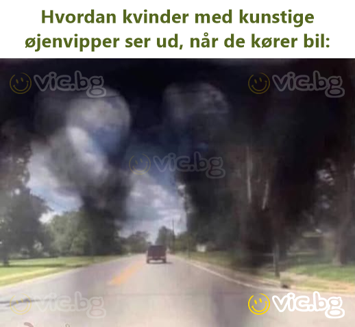 Hvordan kvinder med kunstige øjenvipper ser ud, når de kører bil: