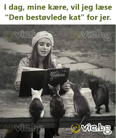 I dag, mine kære, vil jeg læse “Den bestøvlede kat” for jer.
