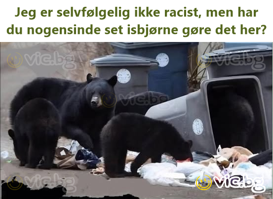 Jeg er selvfølgelig ikke racist, men har du nogensinde set isbjørne gøre det her?