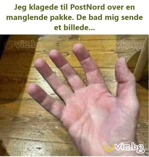 Jeg klagede til PostNord over en manglende pakke. De bad mig sende et billede...