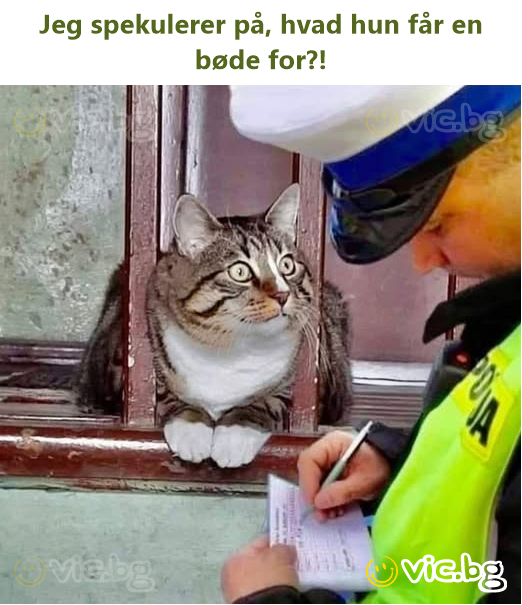 Jeg spekulerer på, hvad hun får en bøde for?!