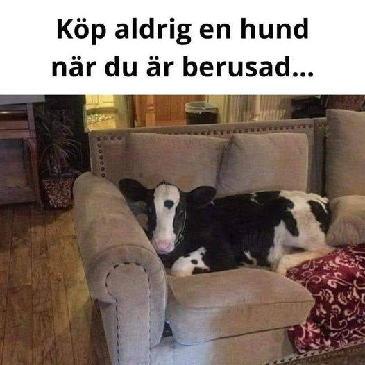 Kan nogen fjerne døren fra billedet?