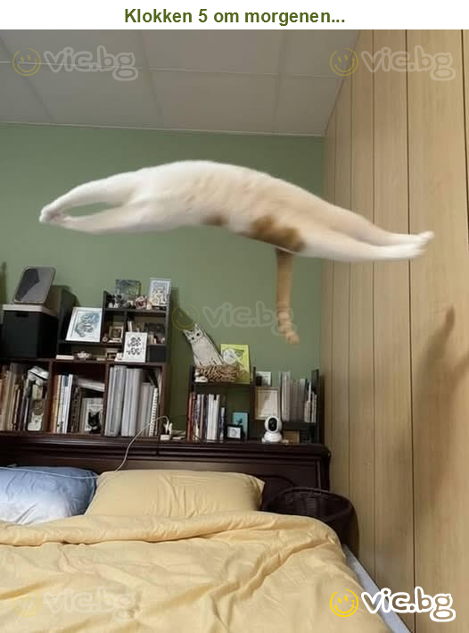 Klokken 5 om morgenen...